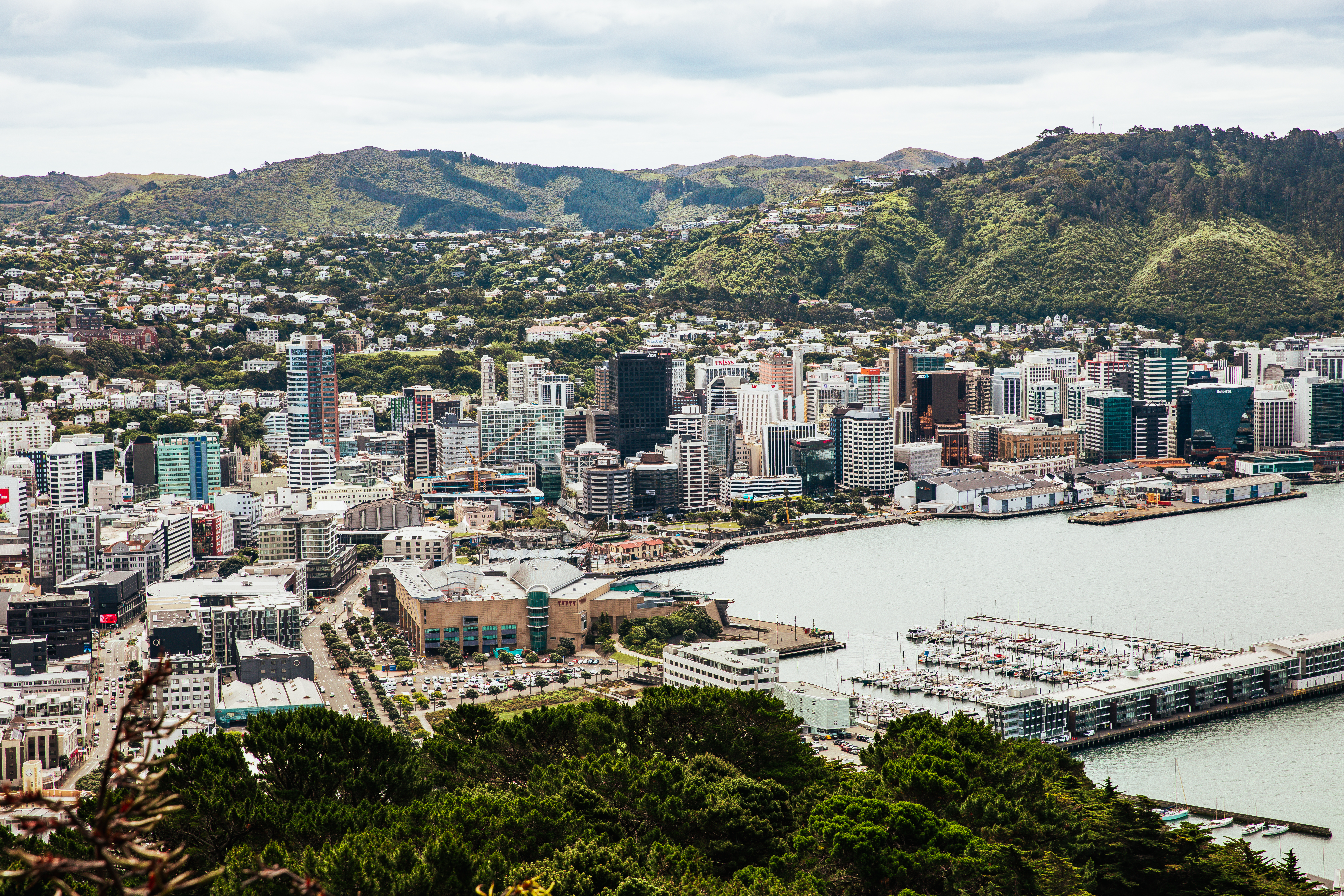 WNZ_Mt-Victoria_05122023_Credit_WellingtonNZ_Phoebe-Mackenzie_1