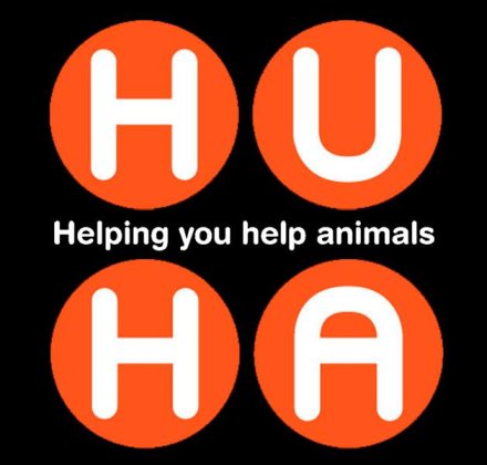 Helping you Help Animals
