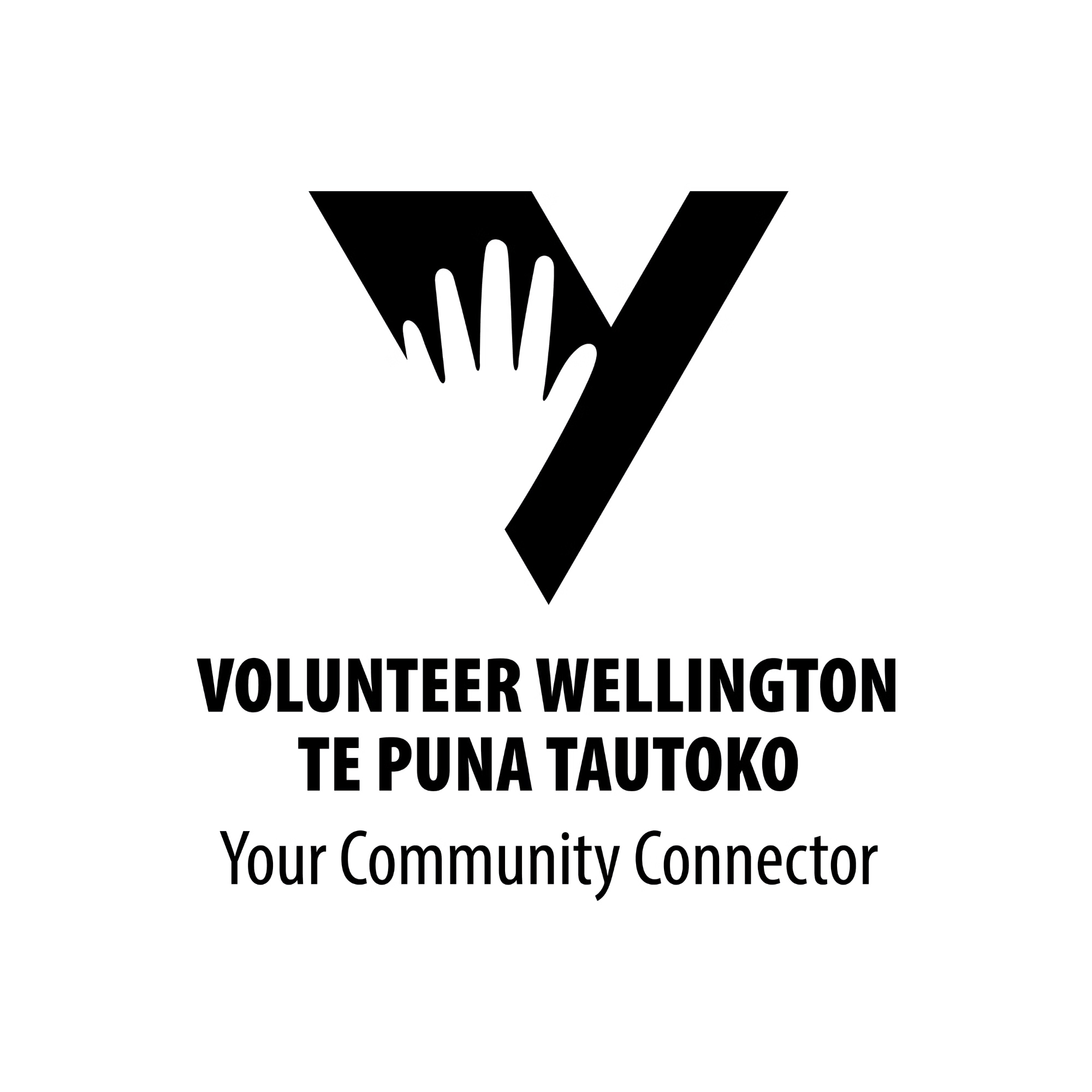 VW Logo